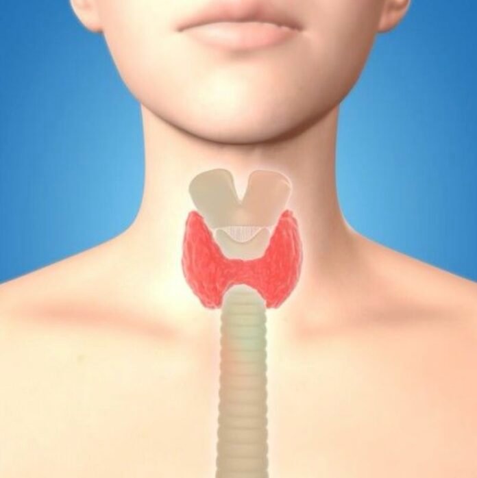 Hyperthyroidism What Is An Overactive Thyroid Symptoms And Causes